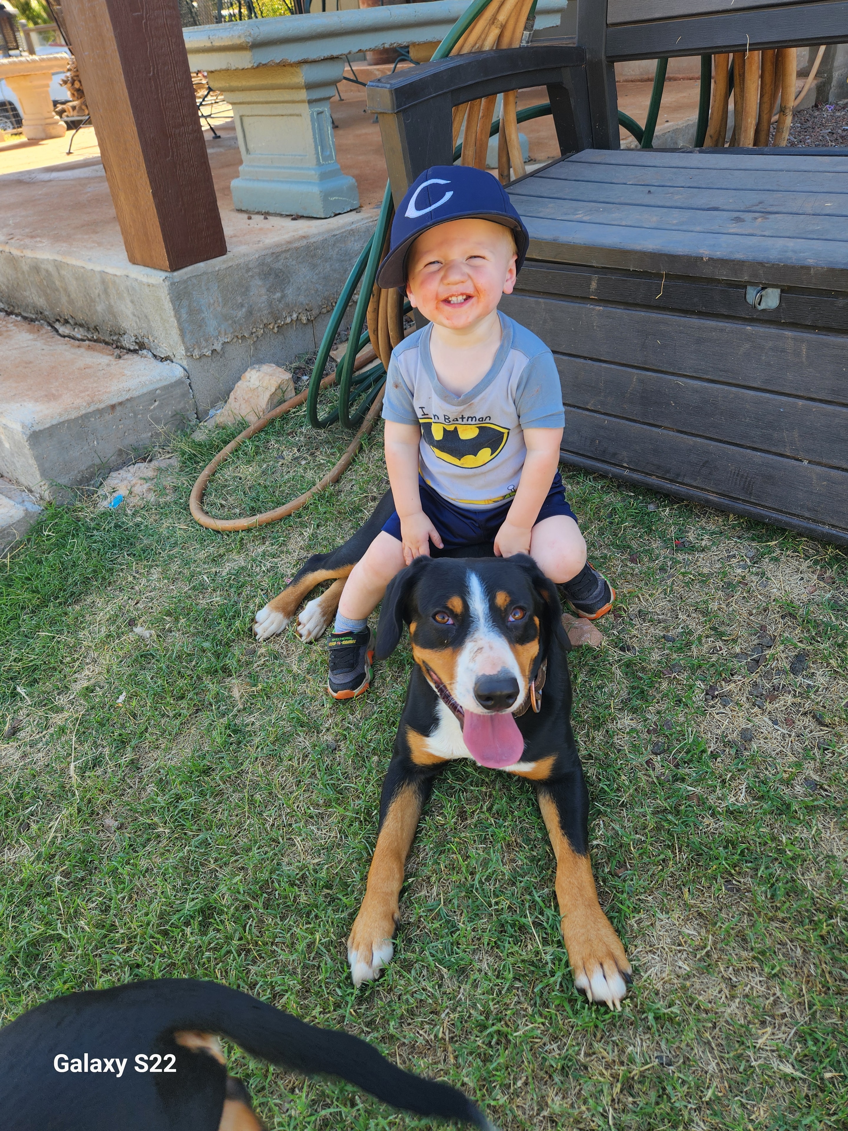 Family enjoying time outdoors with their dogs